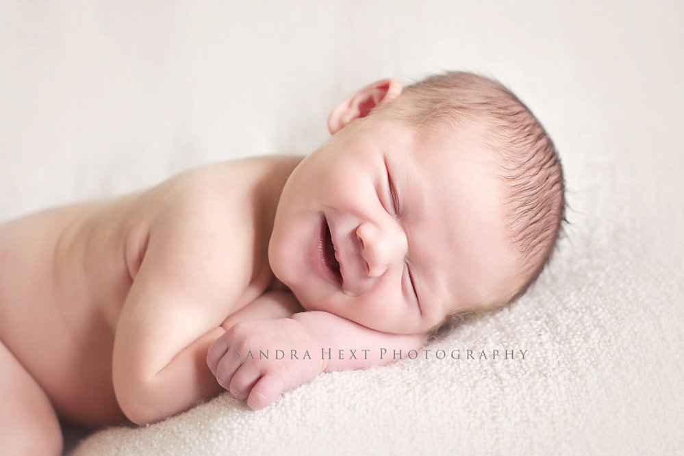 Hamilton Photography Services