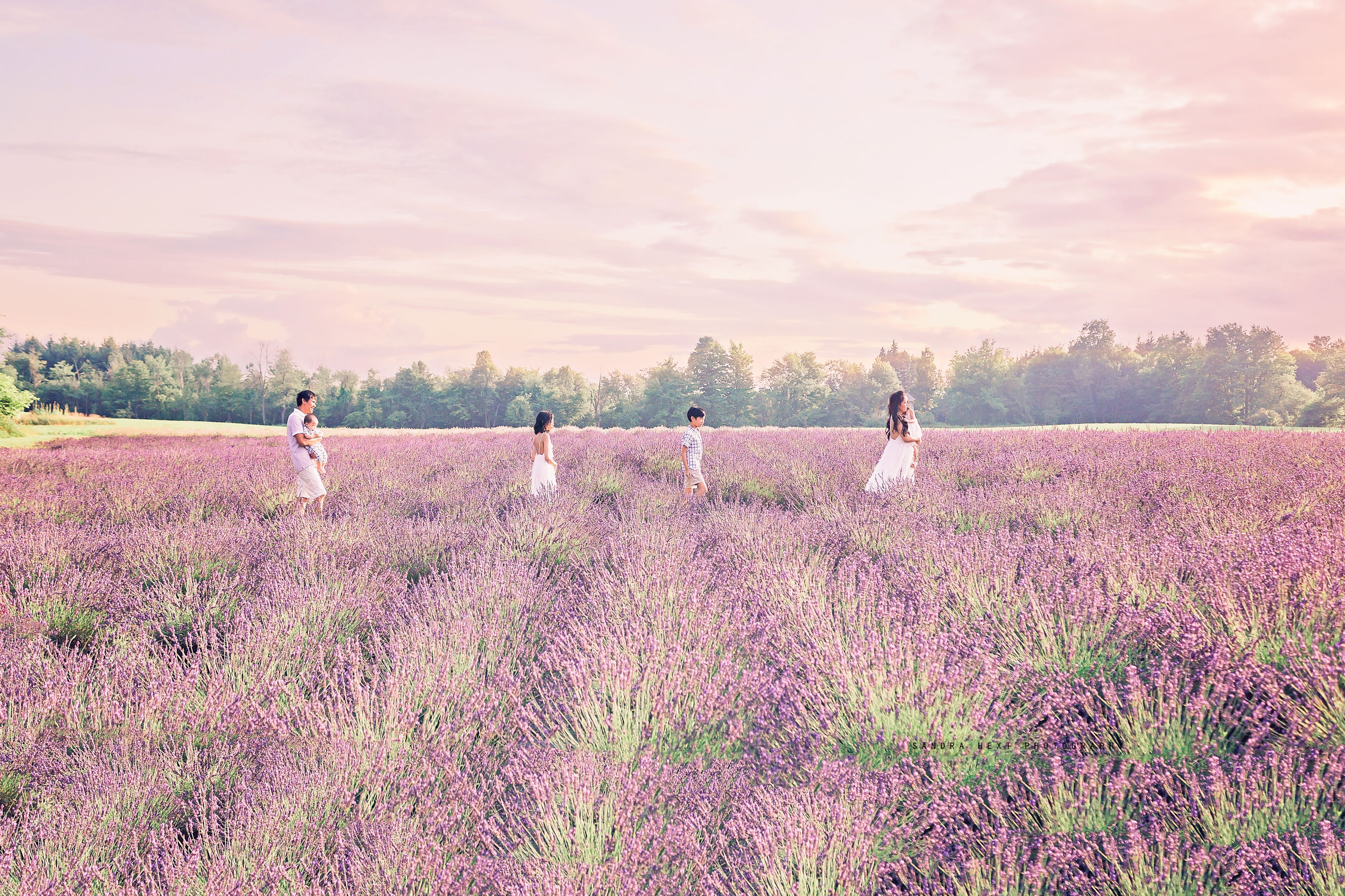 Sandra Hext Photography – Hamilton, Ontario