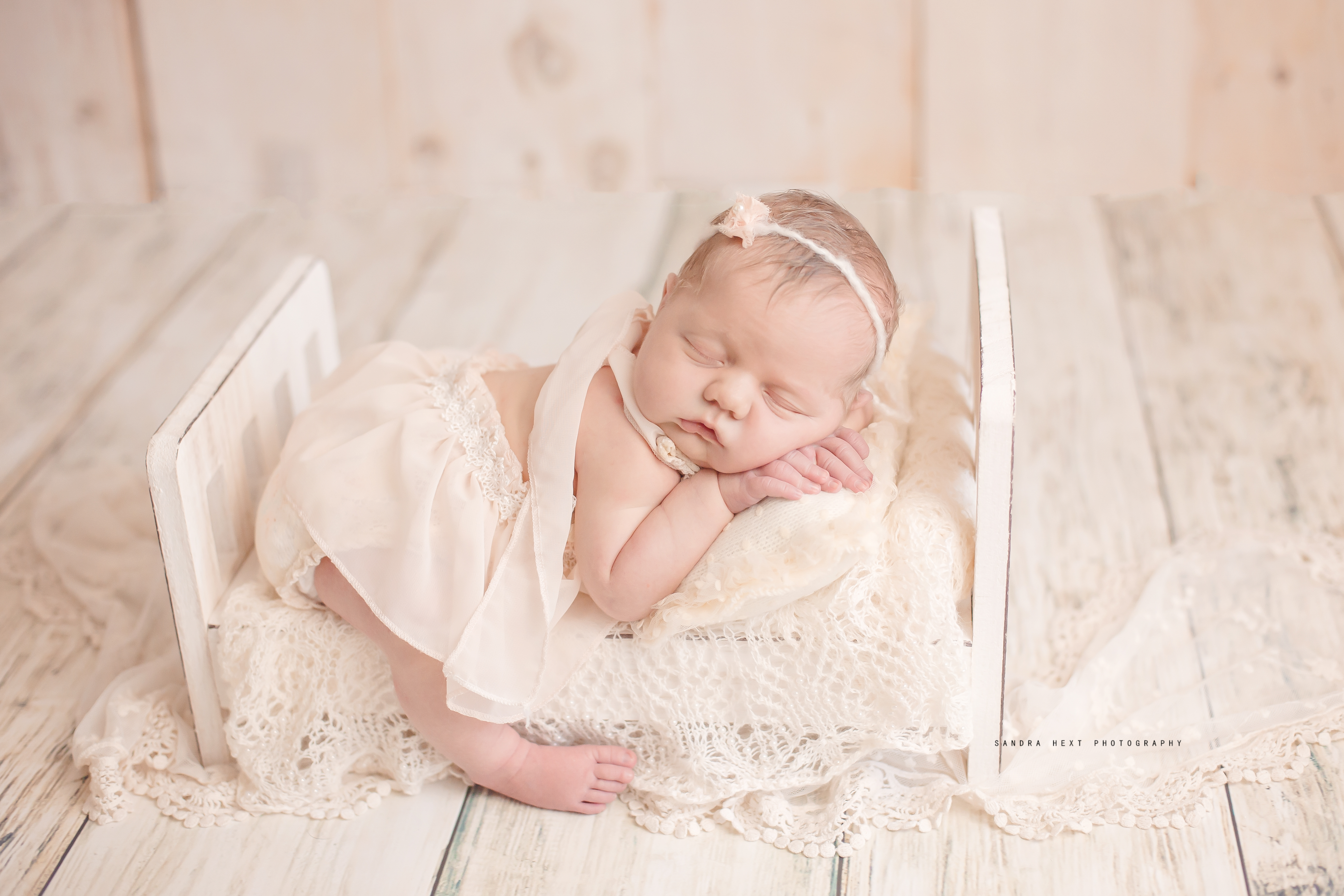 Sandra Hext Photography – Hamilton, Ontario