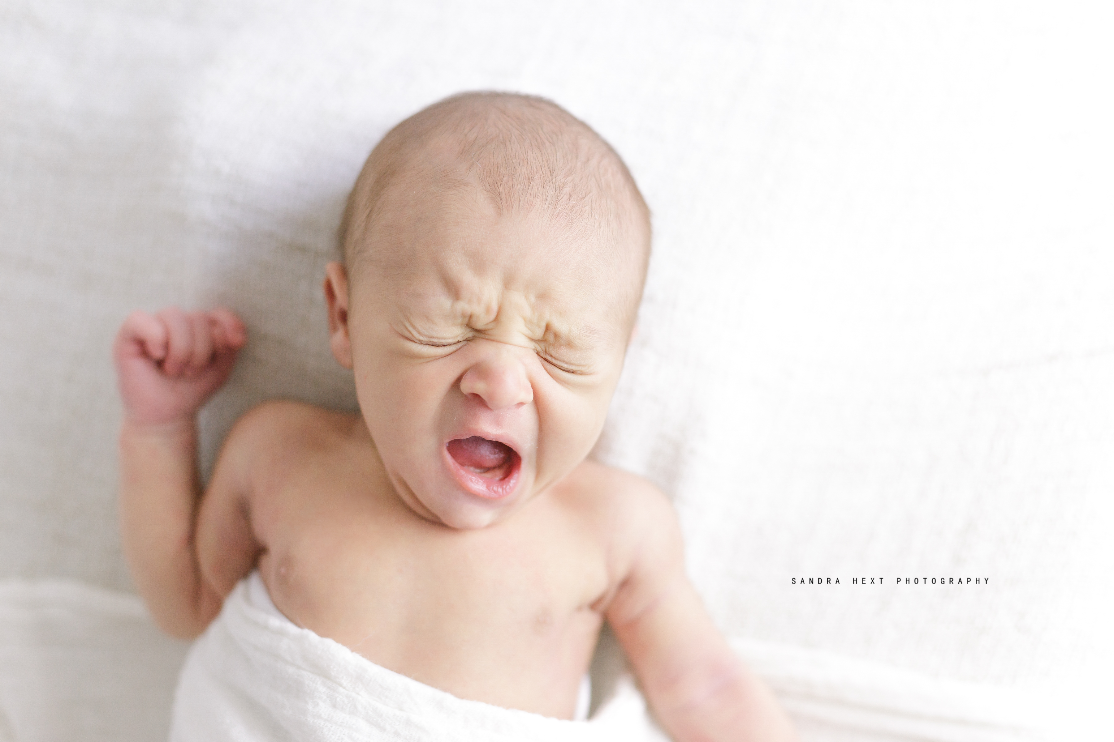 Professional Baby Photographer Hamilton